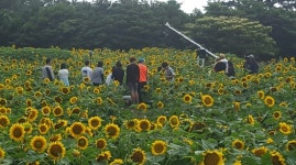 제주 항몽유적지, 사진찍기 좋은 곳 유명세
