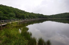 사라오름 산정호수, 폭우 뒤 만수 연출