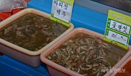 독특한 발효음식, 발효미생물자원 최적지