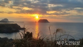 정유년 첫날 제주, 아쉬움·환희 교차