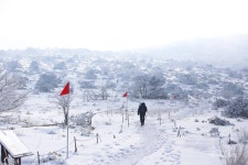 [제주날씨] 내일 오후부터 눈와요