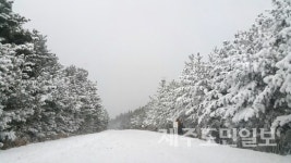 제주 곳곳 눈, 공항 항공기 지연 출발