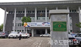 행정개편, 시장직선이냐 현행이냐