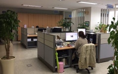 제주 발달장애인 맞춤형 원스톱 지원