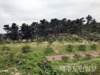 제주 지드래곤 권지용숲 조성 완료