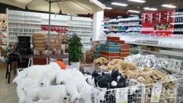 제주 토종마트, 특성화로 승부수