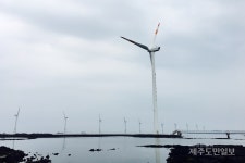 제주 한림에서 즐기는 여유