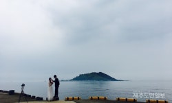 제주 한림에서 즐기는 여유