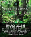 9월 제주도에선 중산간을 달리자