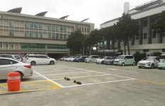 텅 빈 제주도청 주차장 유료화가 무섭나