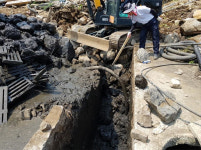 분뇨 1.5리터 230만병 상당 불법 배출