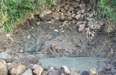 분뇨 1.5리터 230만병 상당 불법 배출