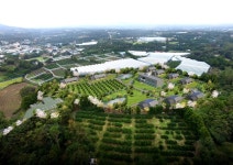 선흘리 동백동산 에코촌 조성 잰걸음