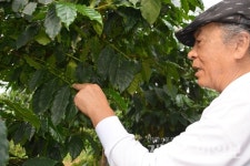 커피와 꿈이 있는 한 여전히 칠순 청년