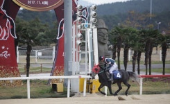 렛츠런파크 제주 800m, 제주마 신기록