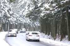 눈 쌓인 제주 사려니숲길 입산통제