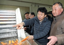 제주 동부 폭설로 농작물 피해 극심