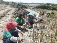 고은영, 농산물 최저가격 보장제 도입