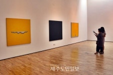 제주도립김창열미술관 작품수집