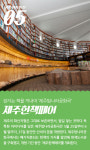 제주 꽃.바다, 그리고 별을 보자