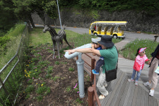 렛츠런파크 제주, 마(馬)랑 힐링투어 인기