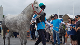 마사회 제주해변경주 이색 볼거리 눈길