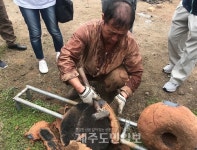 가을 제주 각양각색 축제에 들썩