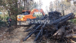 제주 표선면 하천리 감귤과수원 화재 발생