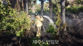 서귀포시 상예동 소재 감귤과수원 화재 발생