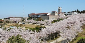 제주 인재개발원, 6월 도민교육 수강생 모집