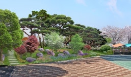 제주시 신촌초.함덕중 명상 숲 조성사업 추진