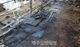 서귀포시 상예동 농업용 비닐하우스 화재 발생