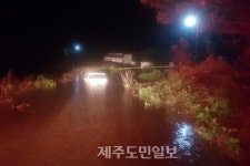제18호 태풍 미탁 제주 도착하기도 전에 피해 속출