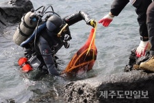 서귀포해경, 수중 침적 쓰레기 정화활동 전개
