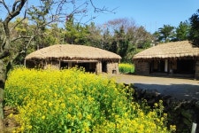 제주민속촌, 착한 임대인운동 동참