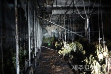 제주 서귀포시 신효동 비닐하우스 화재 발생