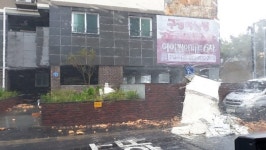 쓰러지고-휘어지고 태풍 바비 피해 속출
