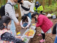 서귀포시, 사려니 숲에서 스스로 즐기는 숲 체험 운영