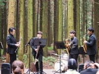 도립서귀포예술단, 찾아가는 관광지 음악회