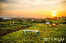핫해진 금악리...마을공동체로 똘똘