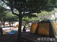 서귀포시, 청소년수련시설 전면 개방
