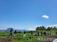 제주4･3, 기억과 치유의 길을 걷다