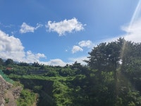 열대야 현상 지속…제주시 26일째 이어져