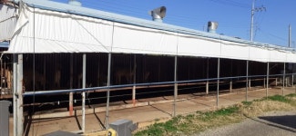 제주, 개 사육농장 첫 합동점검...불법행위 24곳 적발