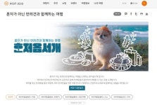 제주 반려동물 동반 시설 한 눈에
