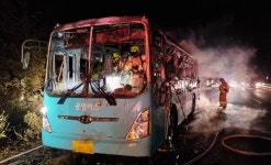 평화로 달리던 버스에서 불