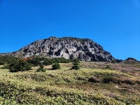 한라산, 외래종 사슴무리 