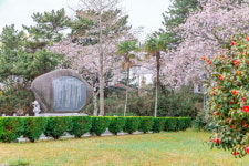 4․3 길에서 제주의 역사를 마주하다