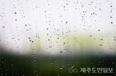 제주 흐리고 비