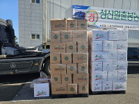 얼어붙은 제주 월동무 가격, 수출로 해법 찾는다